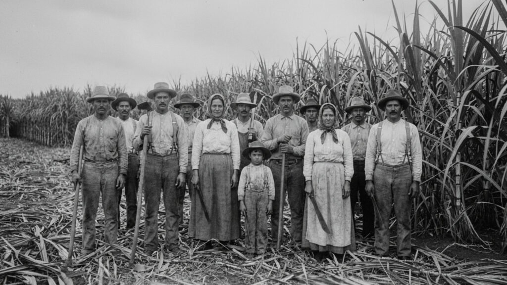 Why the Portuguese Culture Center is a Legacy of Community and Scholarship